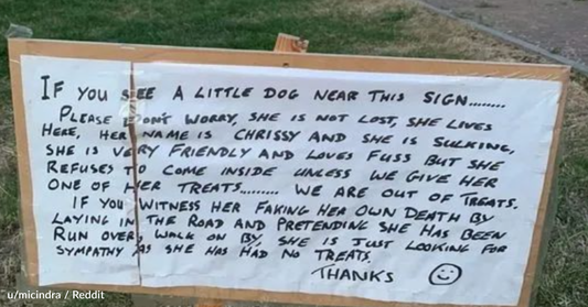 Handwritten Sign About Family's Dog Sparks Controversy Online