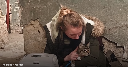 Woman Travels The World With Her Cat After Escaping The War In Ukraine