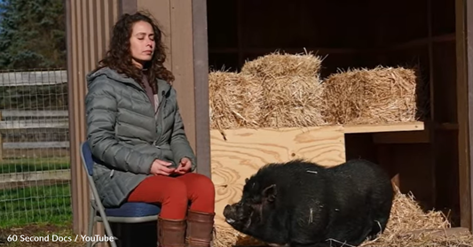 Pet Psychic Explains How She Communicates With Animals