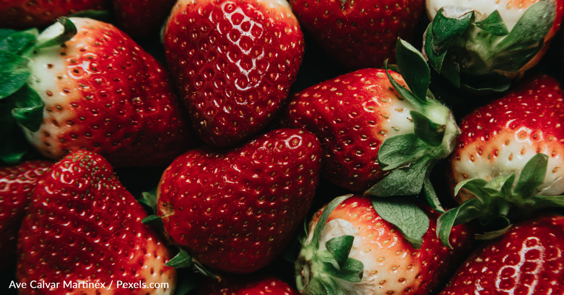 Do You Know What The White Spots On Strawberries Are?