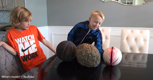 Dad And Son Slice Into Massive Wasp Nest To See What's Inside