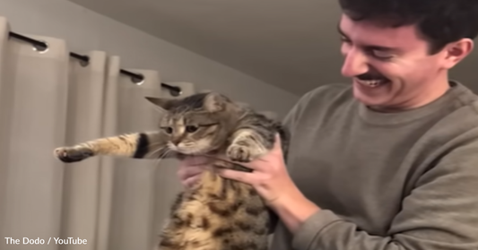 Dog Person Forms Bond With Cat And Teaches Him How To Play Fetch