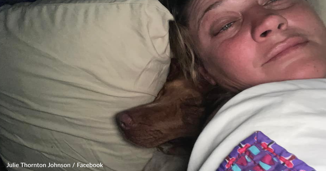 Couple Wakes Up To Find Strange 90-Pound Dog In Bed With Them