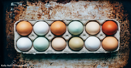 Popular Heritage Chickens That Lay Beautifully Colored Eggs