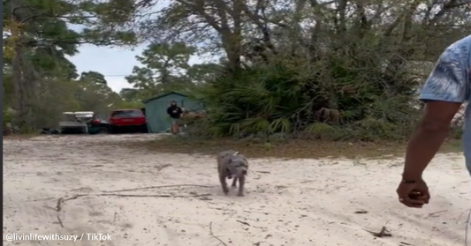 Man Left In Tears When He Meets The Dog He Gave Up A Decade Ago