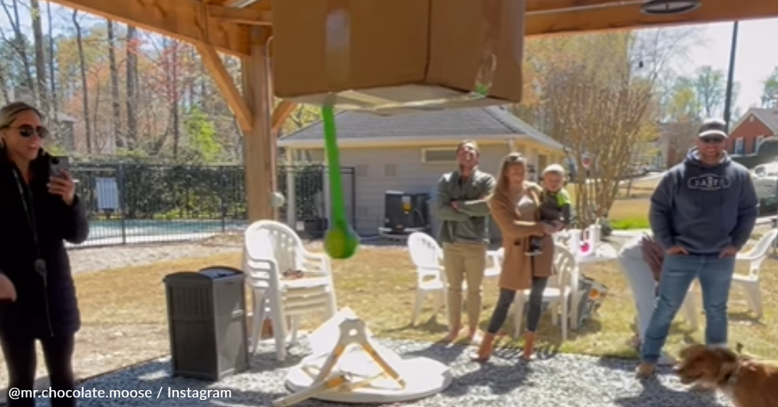 Dogs Celebrate Birthday With Tennis Ball Piñata Surprise