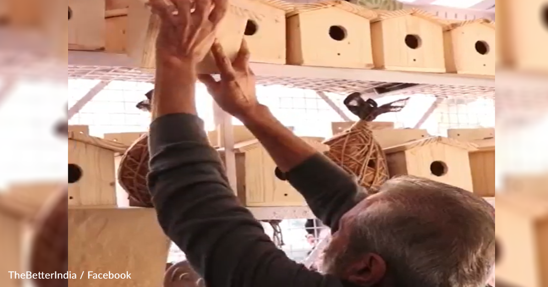 Meet The "Nest Man" Who's Built 250,000 Sparrow Homes And Is Training Kids To Build More