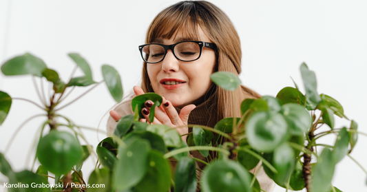 New Study Suggests That Plants Cry When They're Stressed