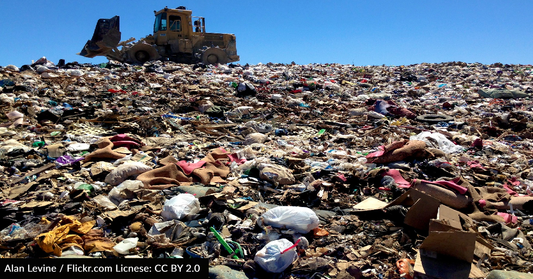 Scientists Believe Plastic-Eating Fungi Could Help Clean The Planet