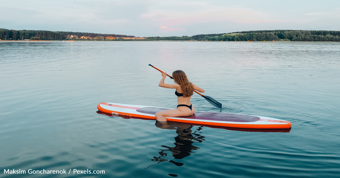 Dolphins Surprise Woman Paddling On The Water