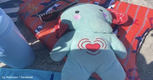 Family Desperately Searches For Missing Toy Elephant That Holds Their Little Boy's Ashes