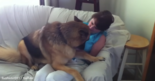 Woman Reunites With Needy German Shepherd After 36 Hours Away