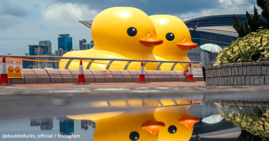 Giant Rubber Ducks Are Taking Over Hong Kong Harbor