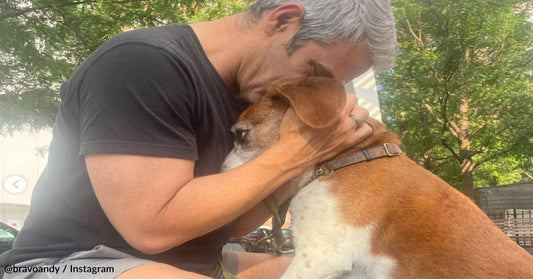 Andy Cohen Reunites With His Former Rescue Dog After 3 Years Apart