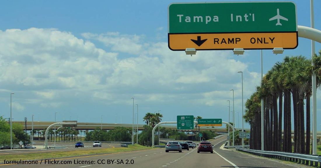 Officials Relocate Black Bear Found Wandering Tampa International Airport