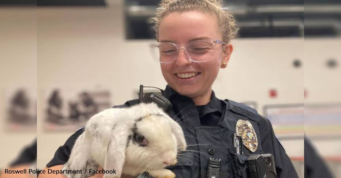 Police Rescue Pet Bunny Found Wandering Outside During A Storm