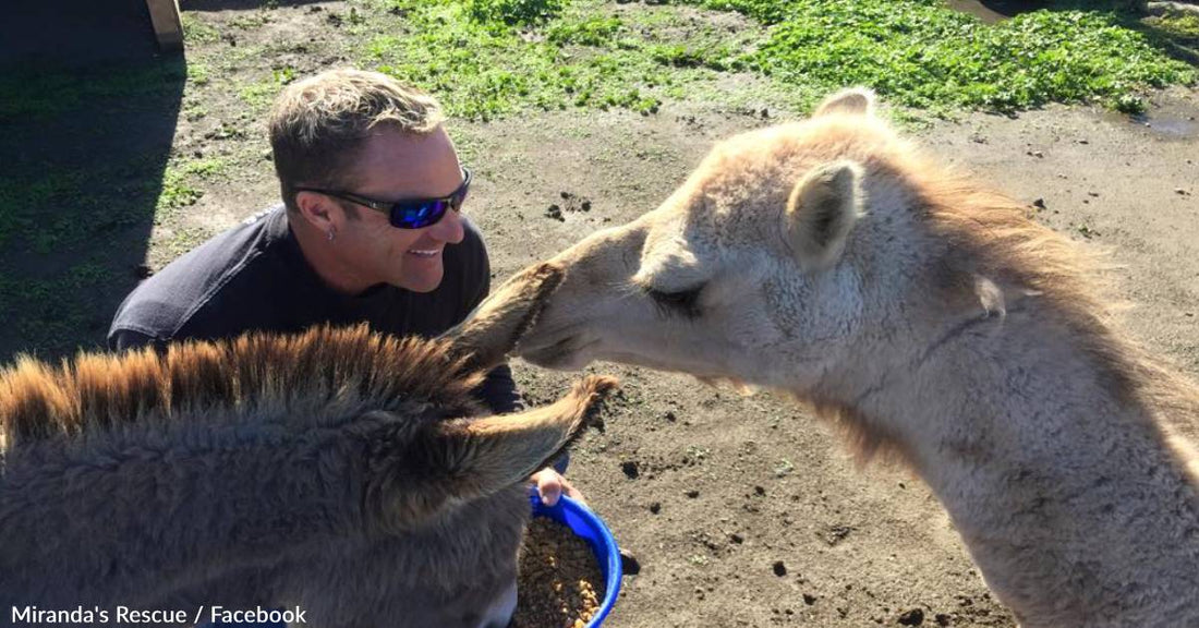 California Rescue Mourns Tonka, The 11-Year-Old Camel Who Was BFFs With A Miniature Donkey