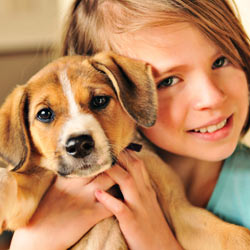 Thank HSUS for Standing Against Puppy Mills