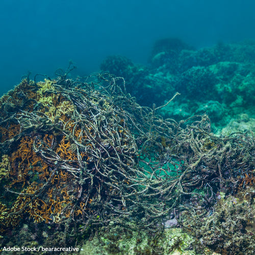 Save our Oceans and Ban Bottom Trawling
