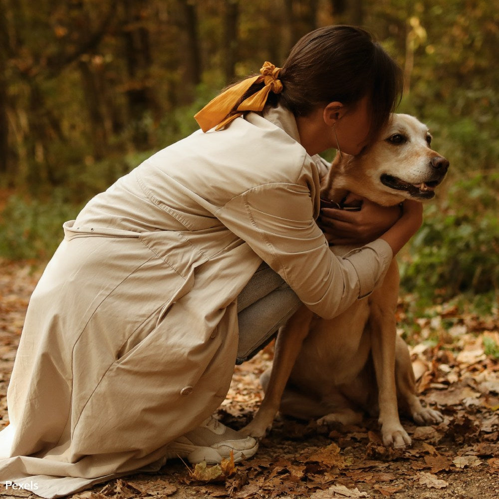 Remember Pets Who Have Crossed The Rainbow Bridge