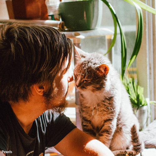 Commit to Pet Safety Around Poisons