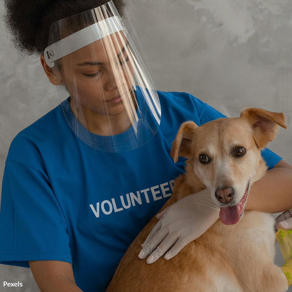 Rescue Helpless Pets Left Abandoned in Hurricane Helene’s Deadly Wake