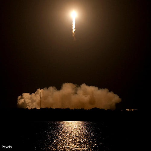 Don’t Let SpaceX Destroy Wetlands in Texas