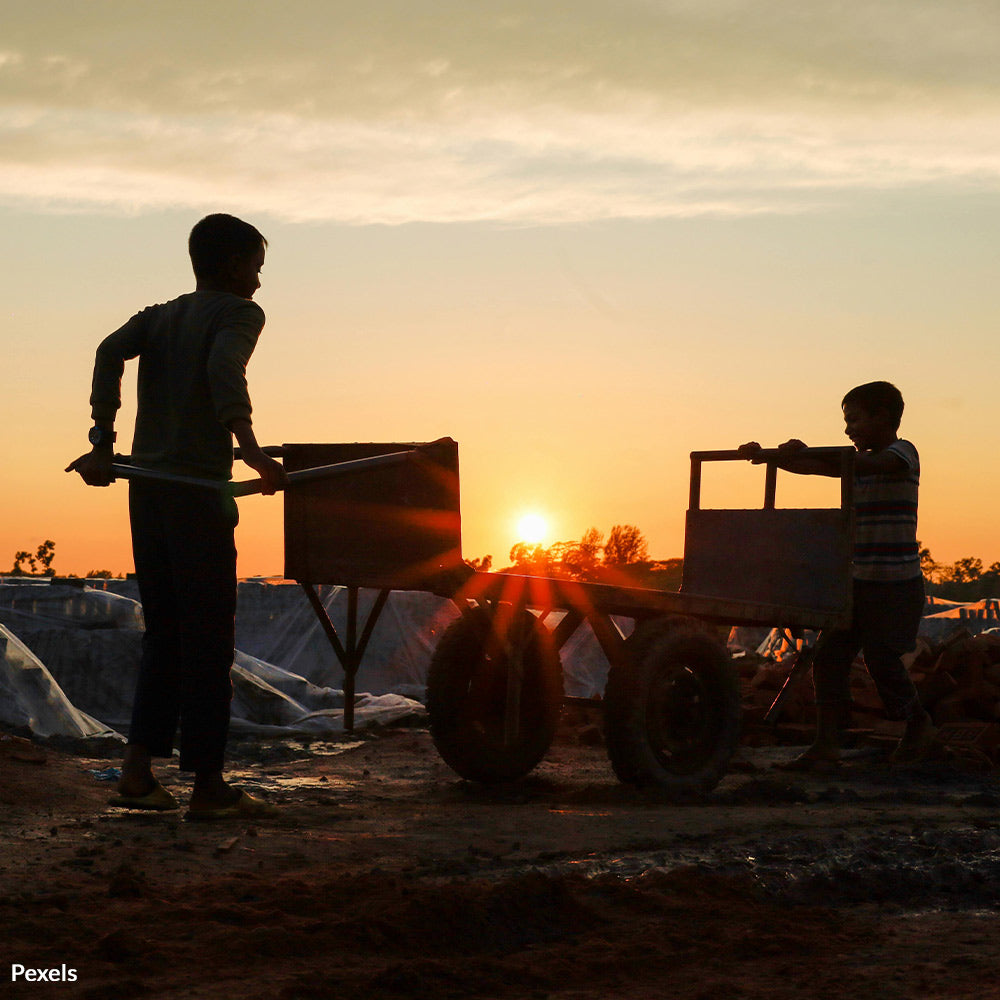 Protect Children Exploited For Dangerous Labor