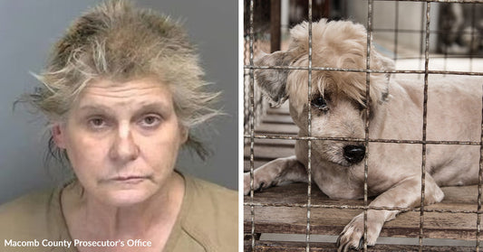 Split image shows a mugshot of a woman beside a small white dog lying behind kennel bars.
