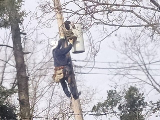 Worker climbing a utility pole, carrying equipment among bare trees.