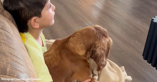 Young boy sitting on a couch with a brown dog resting beside him, both looking ahead.