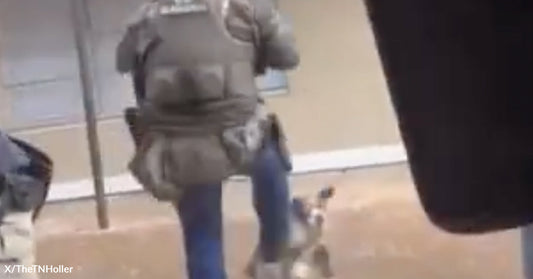 A video recorded by phone shows a U.S. Marshal kicking a dog.