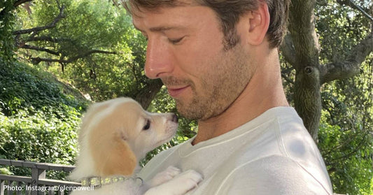 Top Gun: Maverick' Star Glen Powell Adopts Tiny Puppy As "Bodyguard"