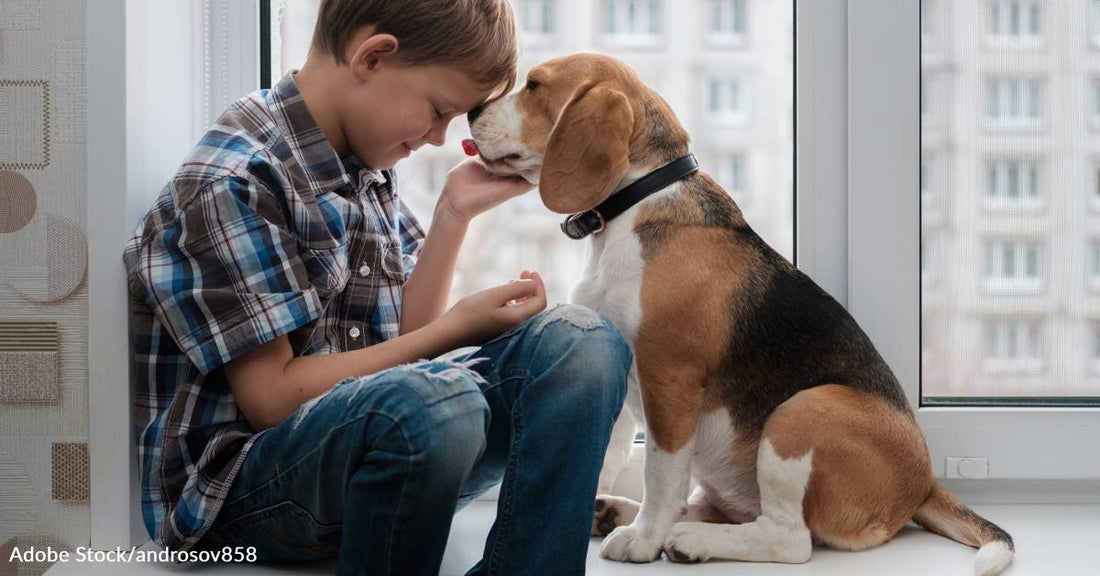 Adopted Boy Wanted To Be The One To Hold His Dying Dog As She Went To Heaven