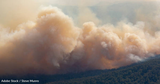 New NIH Study Finds Particulate Air Pollution is Linked with Breast Cancer Risk