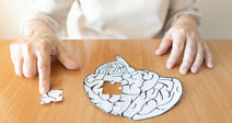 hands with paper brain with one piece missing