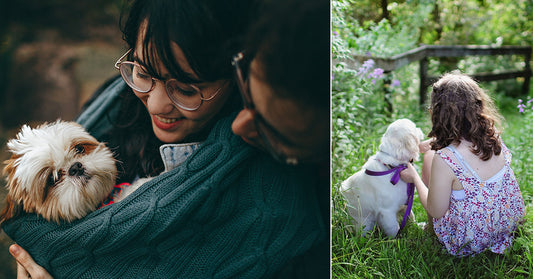 Science Confirms, People Who Talk To Their Pets Are Smarter