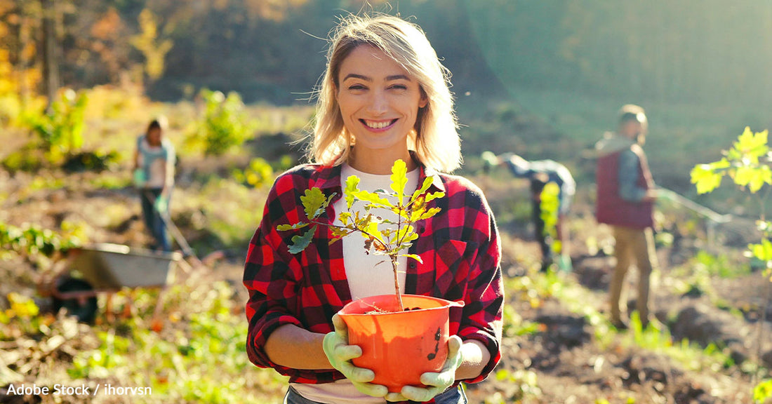 Celebrate Arbor Day: A Fun Guide to Planting Trees and Caring for Them