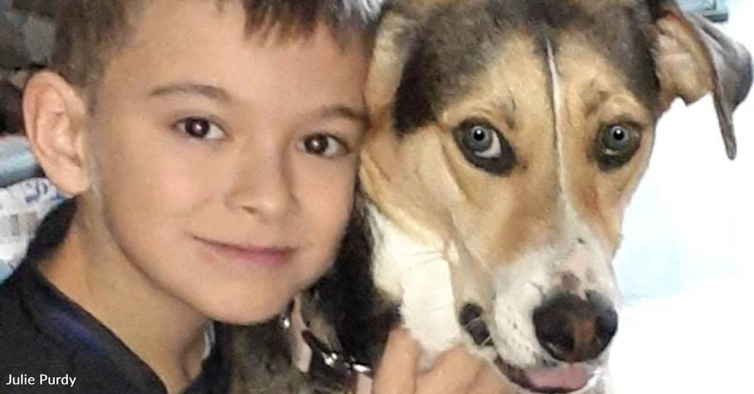 Boy Who Was Adopted Wants to Adopt His Own Rescue Dog, Ends Up with a Canine BFF