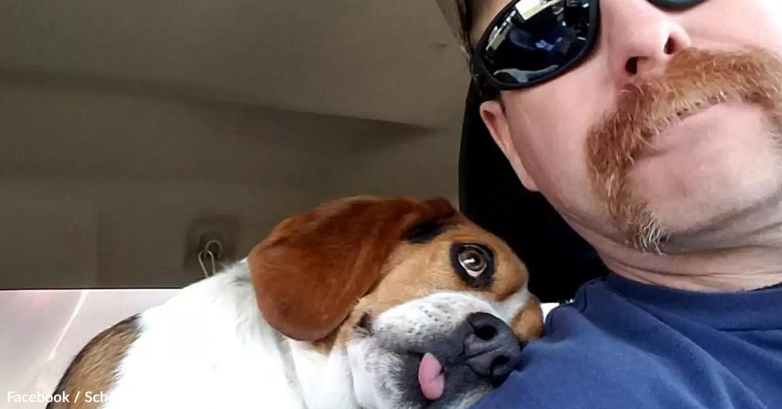 Man with sunglasses takes a selfie with a beagle resting against him.