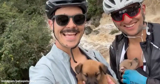 Two smiling cyclists wearing helmets hold two small brown puppies they rescued during a bike ride on a rocky trail.