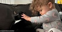 A toddler gently pets a black-and-white cat sitting on a couch, the cat tilting its head up toward the child’s hand.
