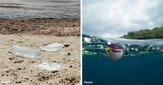 Florida Teens Caught on Camera, Spark Outrage by Trashing Ocean in Viral Video