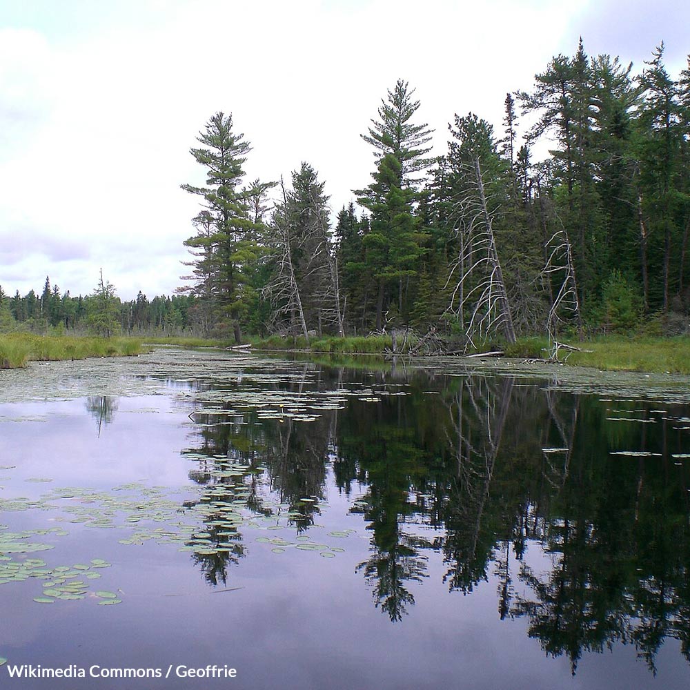 Stop The Toxic Mines Before They Poison The Boundary Waters Forever