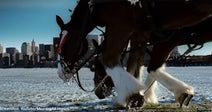 Budweiser's Iconic "Respect" Commercial Will Re-Air for 25th Anniversary of 9/11