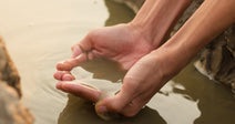 A person gently releases a small fish into shallow, murky water between rocky outcroppings.