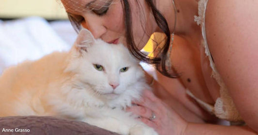 The World Was Forever Lessened By Your Absence': Fur Mom Writes Loving Tribute to Her Cat