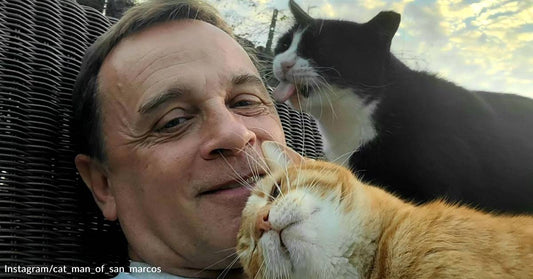 From National Security Advisor to Cat Whisperer: The Story of the Cat Man of San Marcos