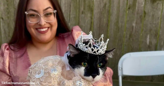 Black-and-white cat wearing a tiara and lace dress while being held by a smiling woman outdoors.