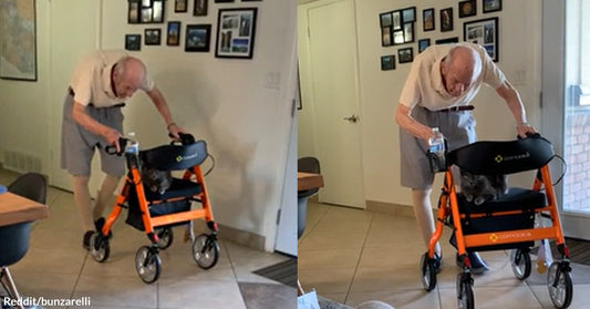 Grandpa Sweetly Gives Free Cat "Rides" for His 94th Birthday